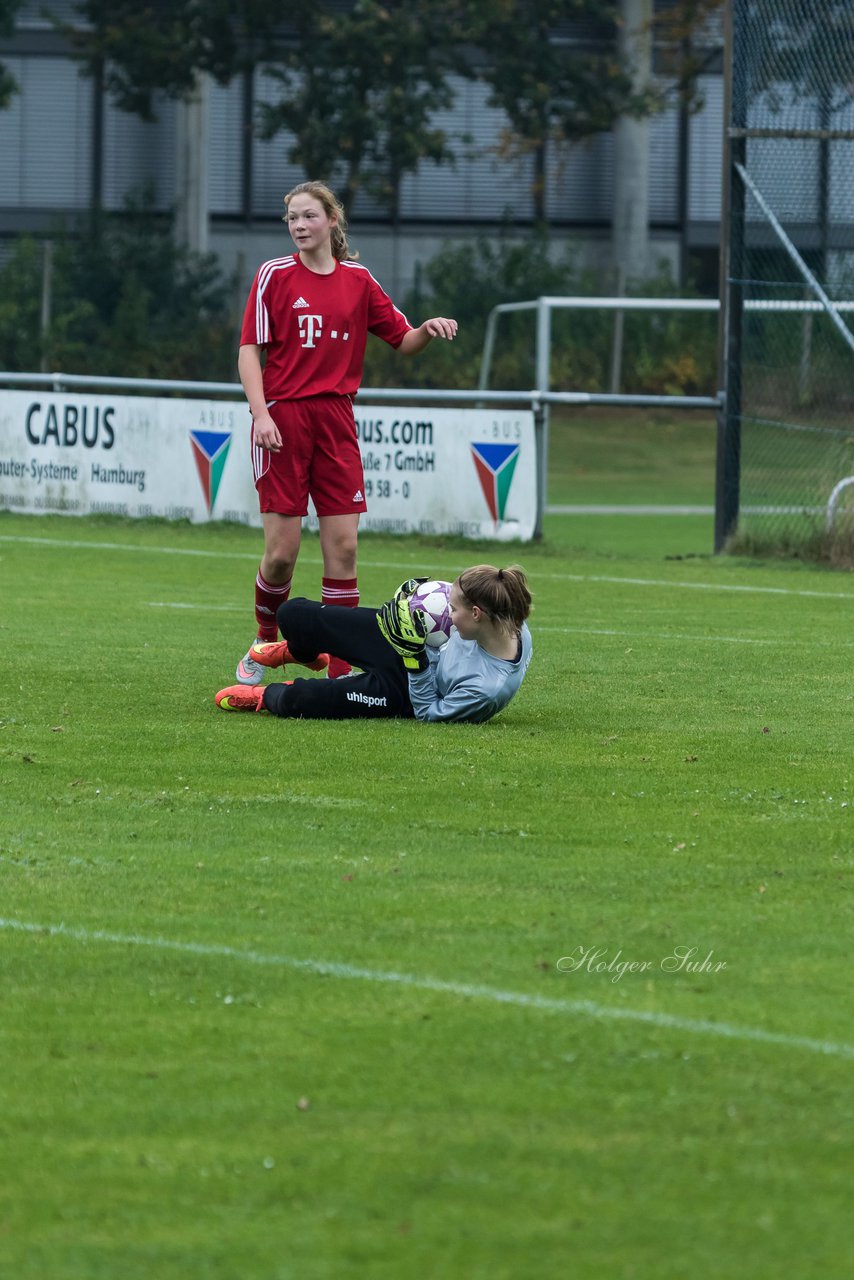 Bild 216 - B-Juniorinnen SV Henstedt Ulzburg - SV Wahlstedt : Ergebnis: 11:0